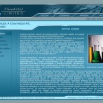 Weboldal design